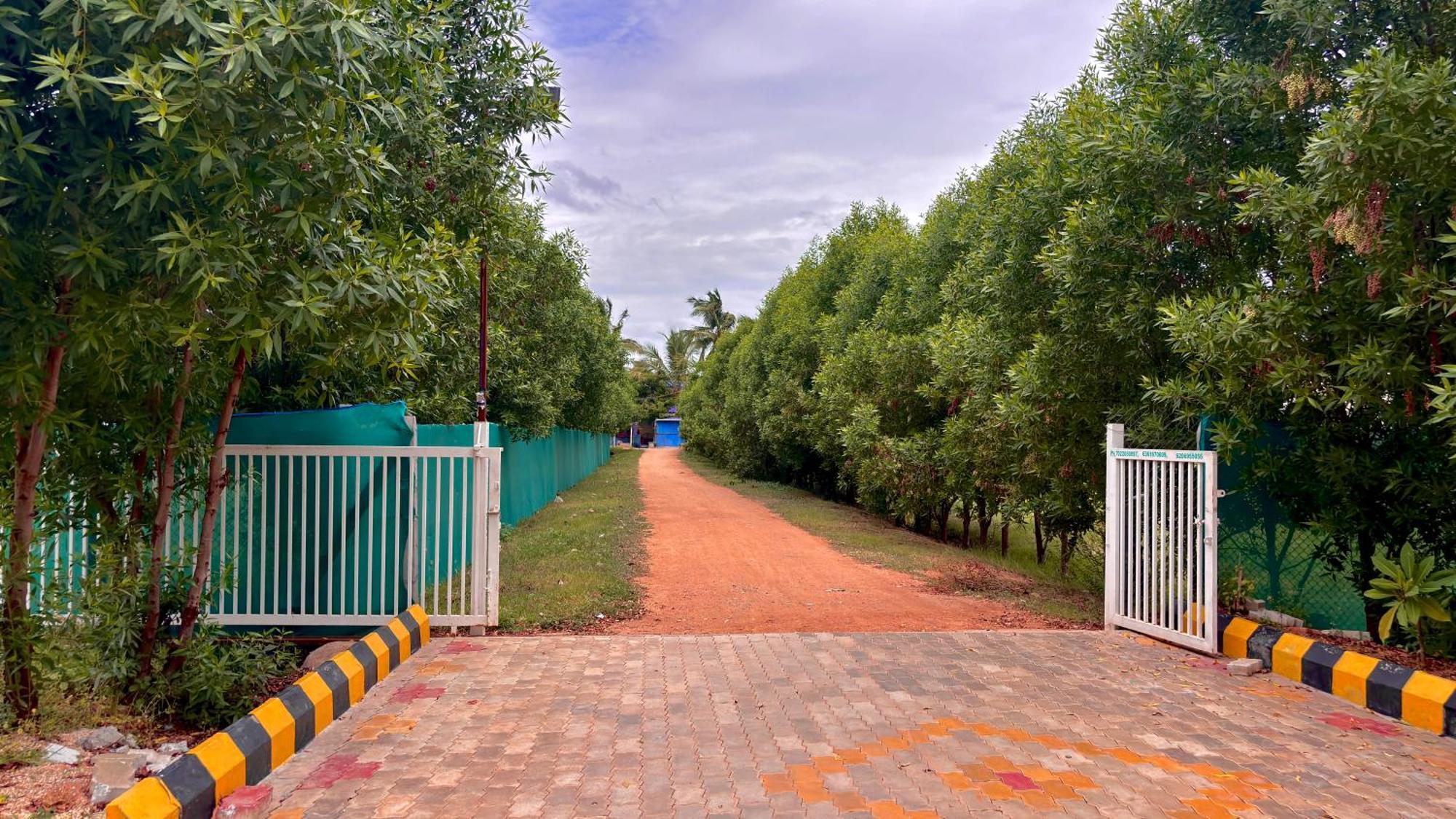Chandanagreenviewresort Gangawati Экстерьер фото